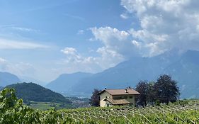 B&B La Casa In Collina